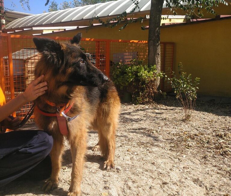 multimedia-foto66956-914-1