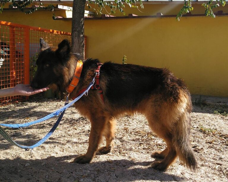 multimedia-foto66957-914-1