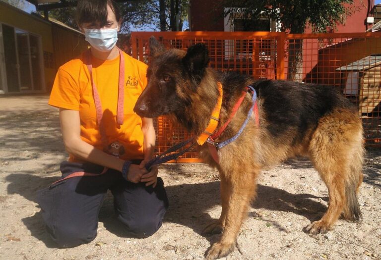 multimedia-foto66958-915-1