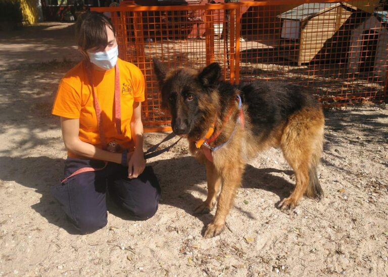 multimedia-foto66959-915-1