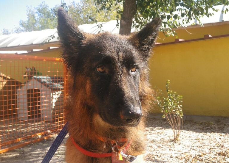 multimedia-foto66960-916-1