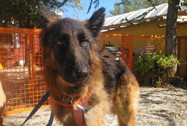 multimedia-foto66961-917-1