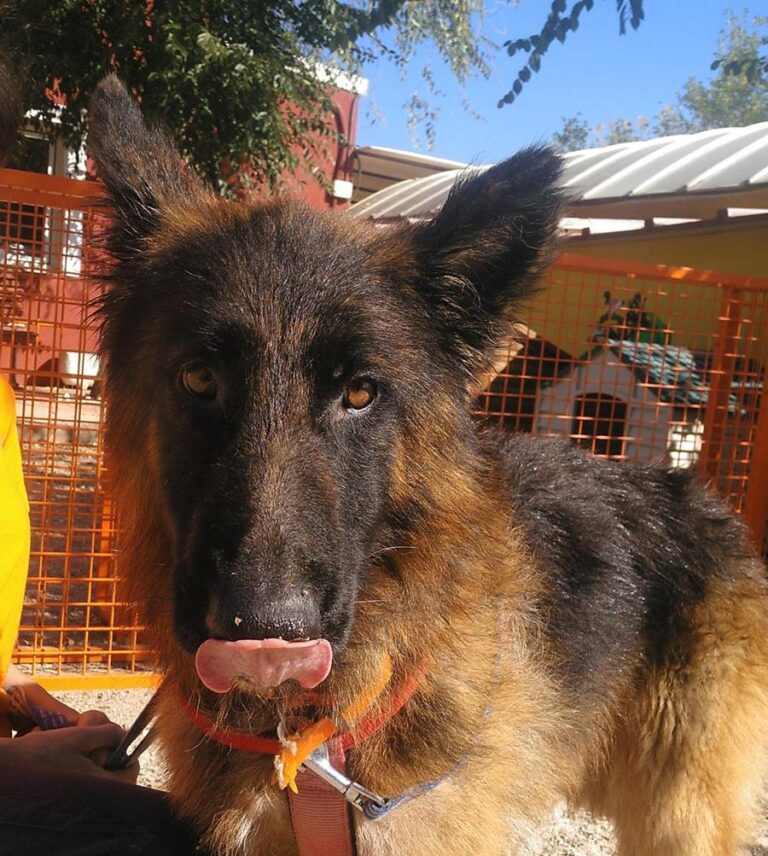 multimedia-foto66962-917-1