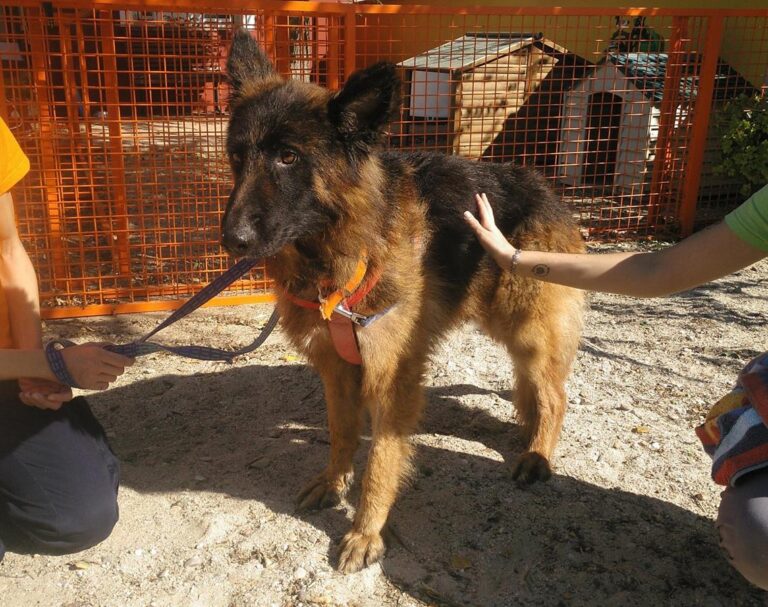 multimedia-foto66963-918-1