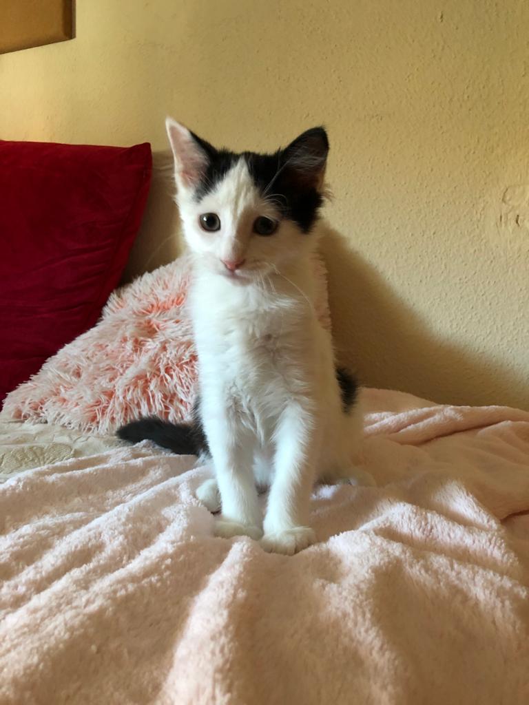 multimedia-foto66964-594-1