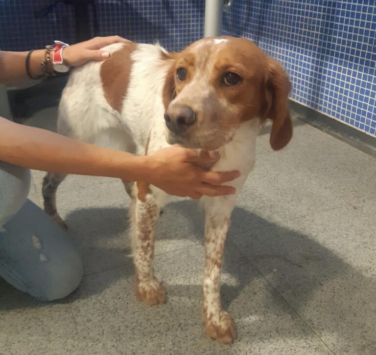 multimedia-foto66969-166-1