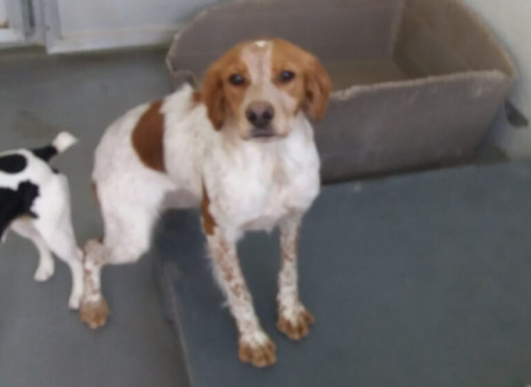 multimedia-foto66970-167-1