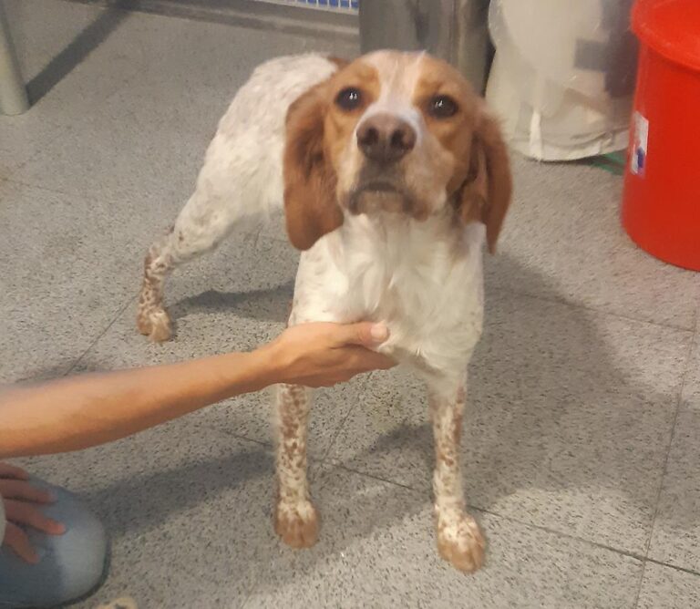 multimedia-foto66971-167-1