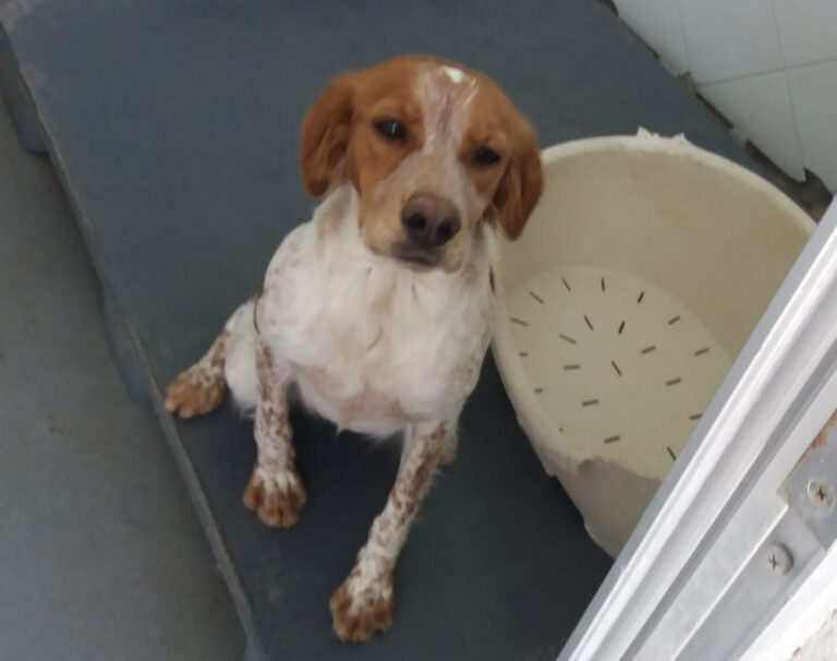 multimedia-foto66972-168-1