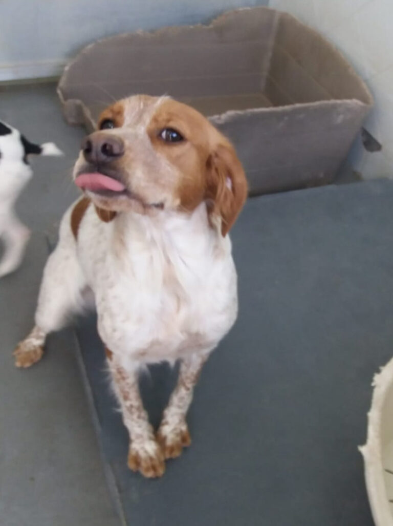 multimedia-foto66973-168-1