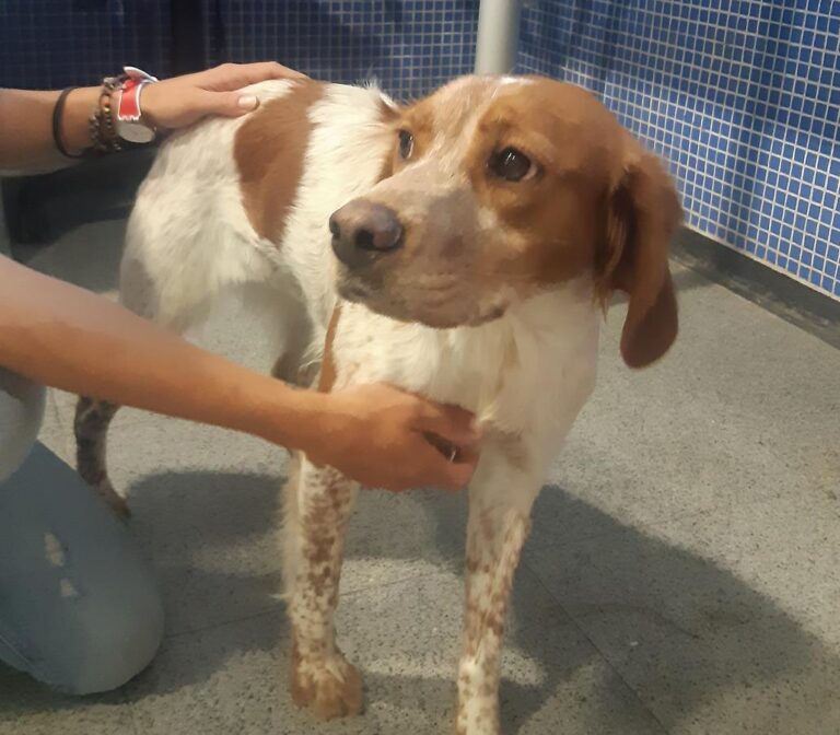 multimedia-foto66974-169-1