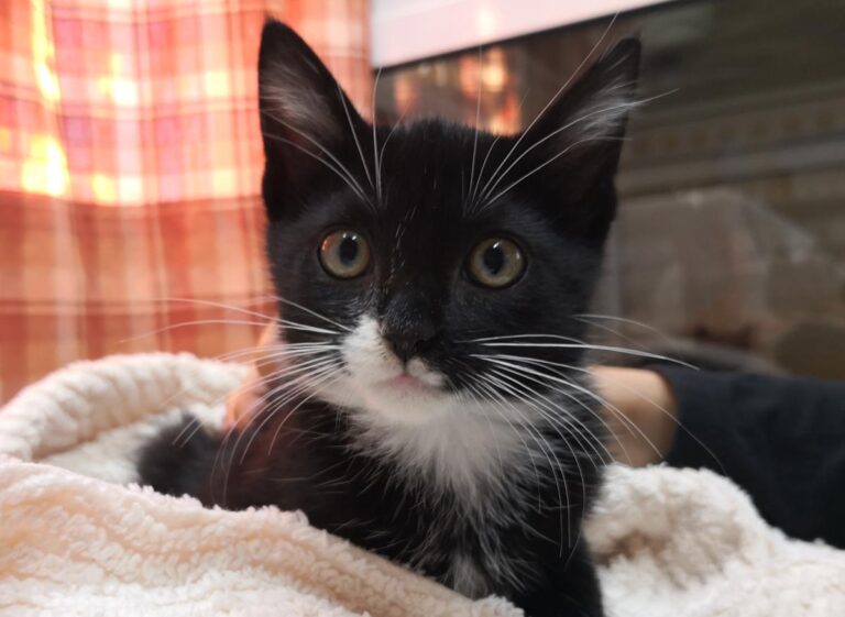 multimedia-foto66984-776-1