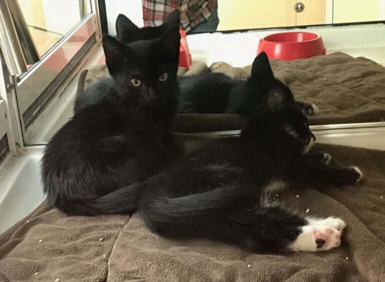 multimedia-foto66989-865-1