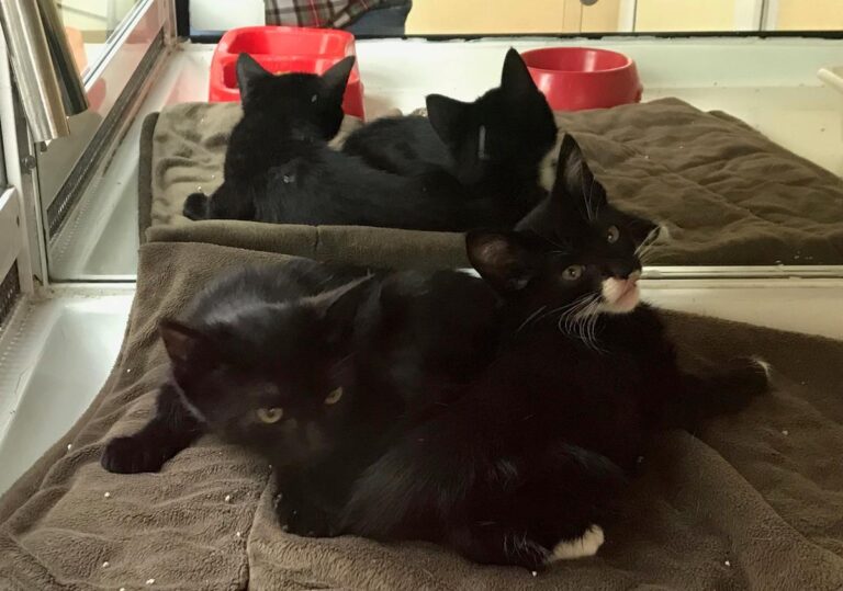 multimedia-foto66991-867-1