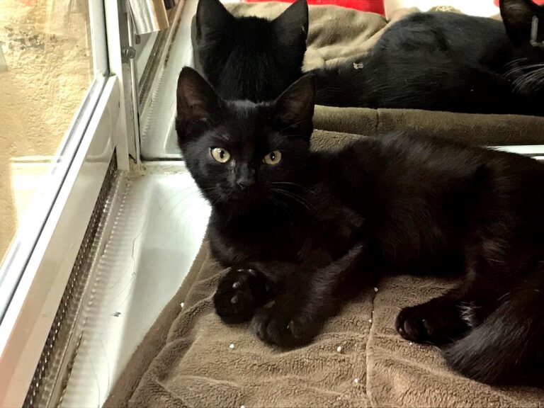 multimedia-foto66995-869-1