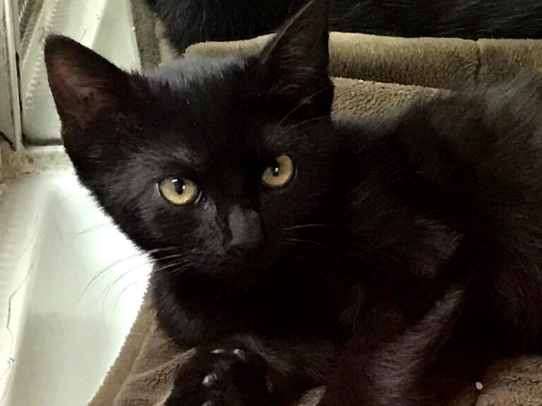 multimedia-foto66996-869-1