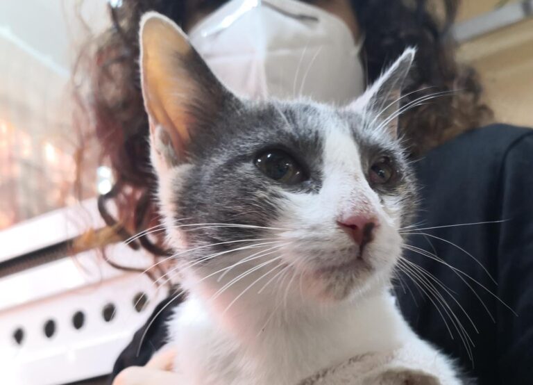 multimedia-foto67003-63-1