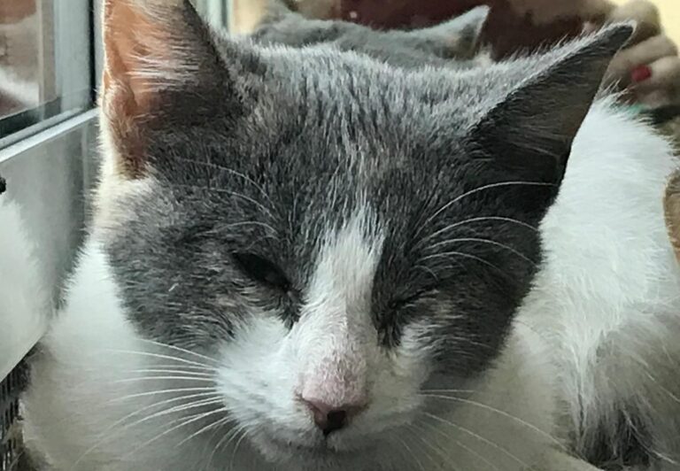 multimedia-foto67004-63-1