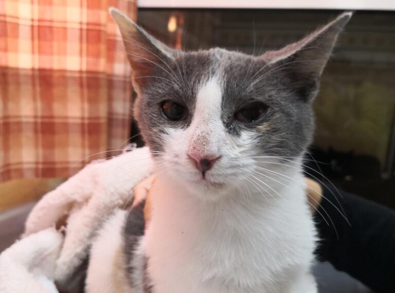 multimedia-foto67005-64-1