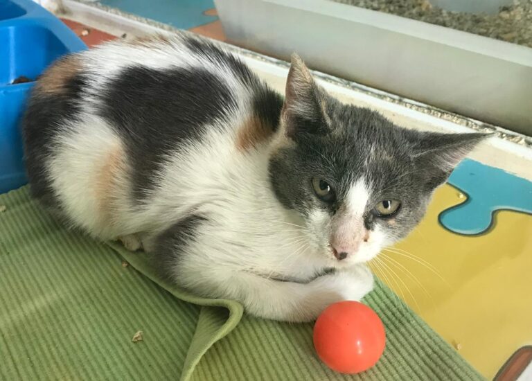 multimedia-foto67008-66-1