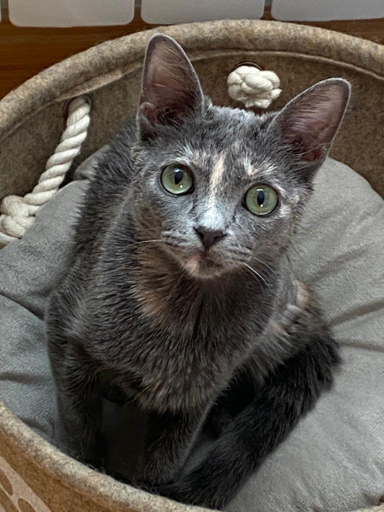 multimedia-foto67079-89-1