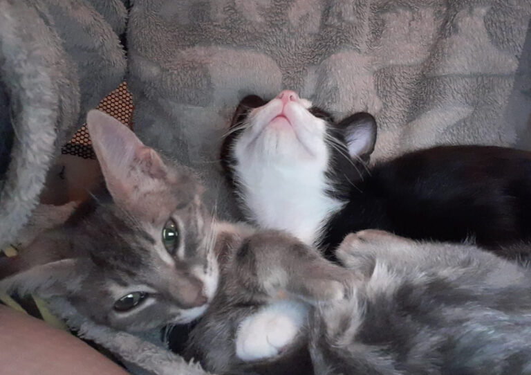 multimedia-foto67114-519-1