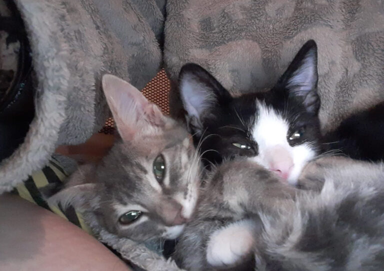 multimedia-foto67115-520-1