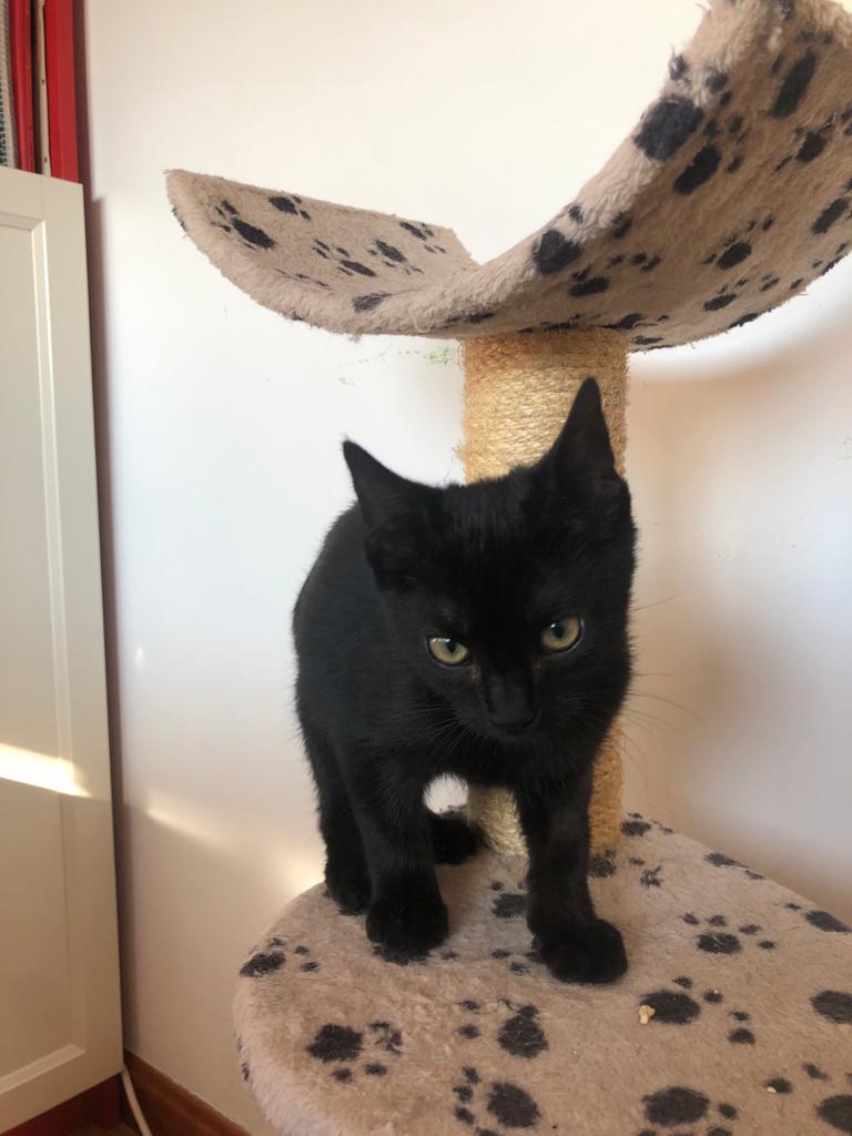 multimedia-foto67125-695-1