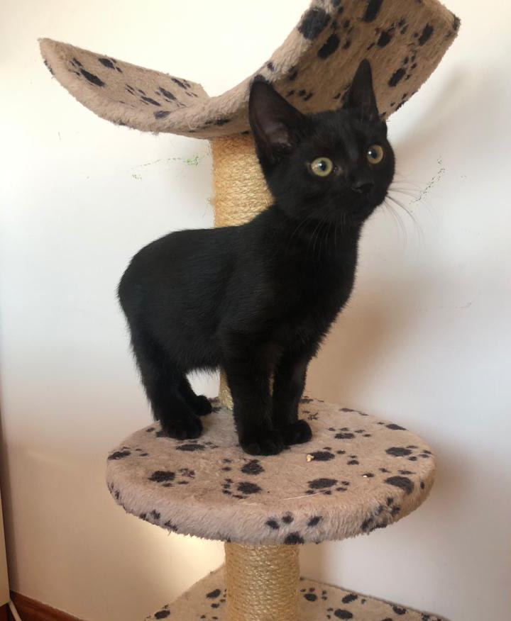 multimedia-foto67126-696-1