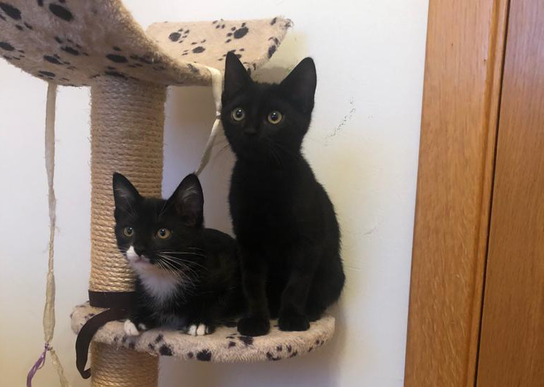 multimedia-foto67127-725-1