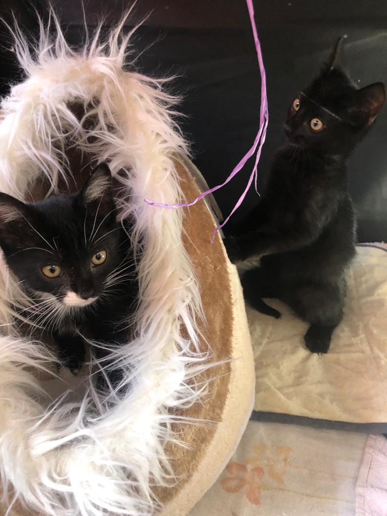 multimedia-foto67128-725-1