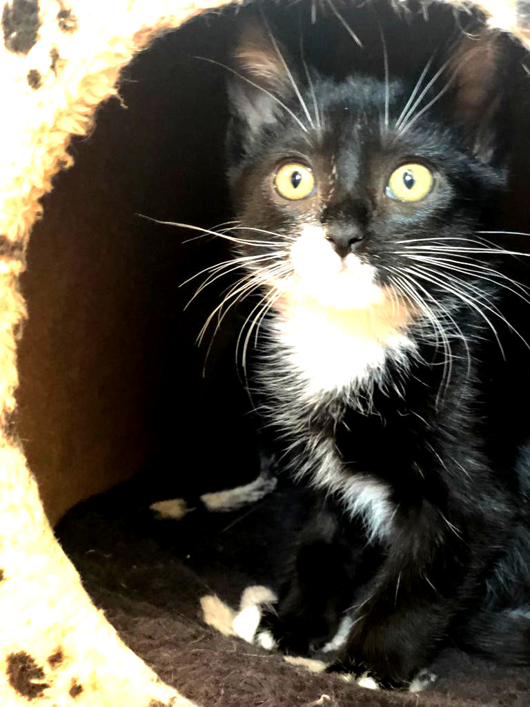 multimedia-foto67129-726-1