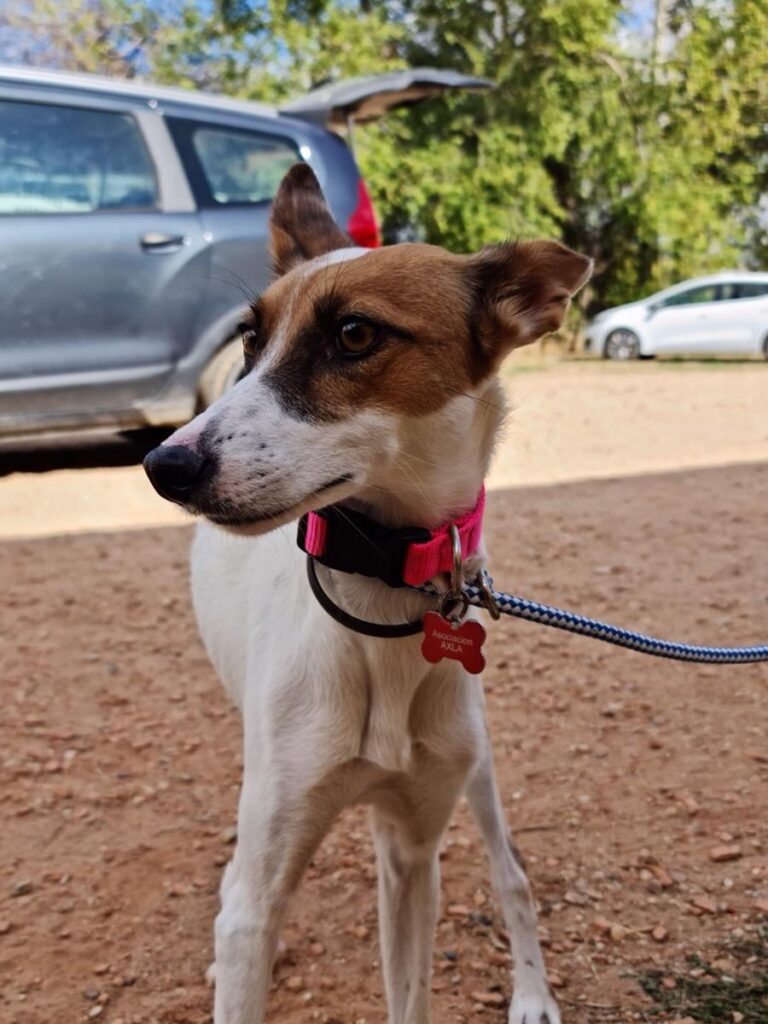 multimedia-foto67179-984-1