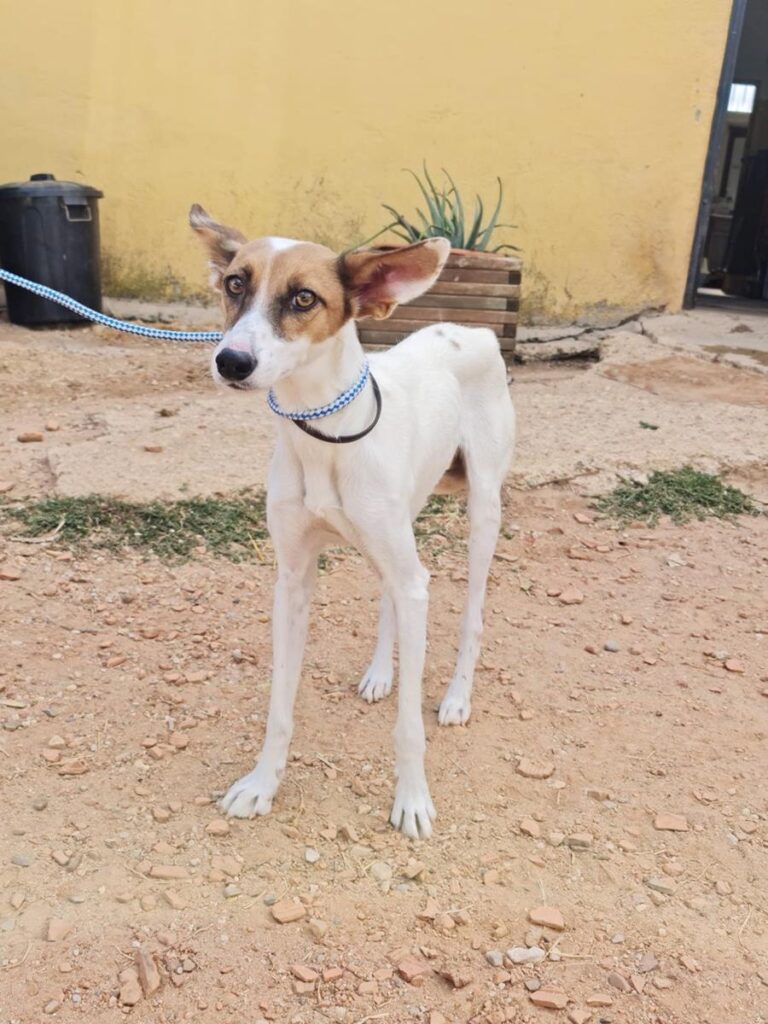 multimedia-foto67180-984-1