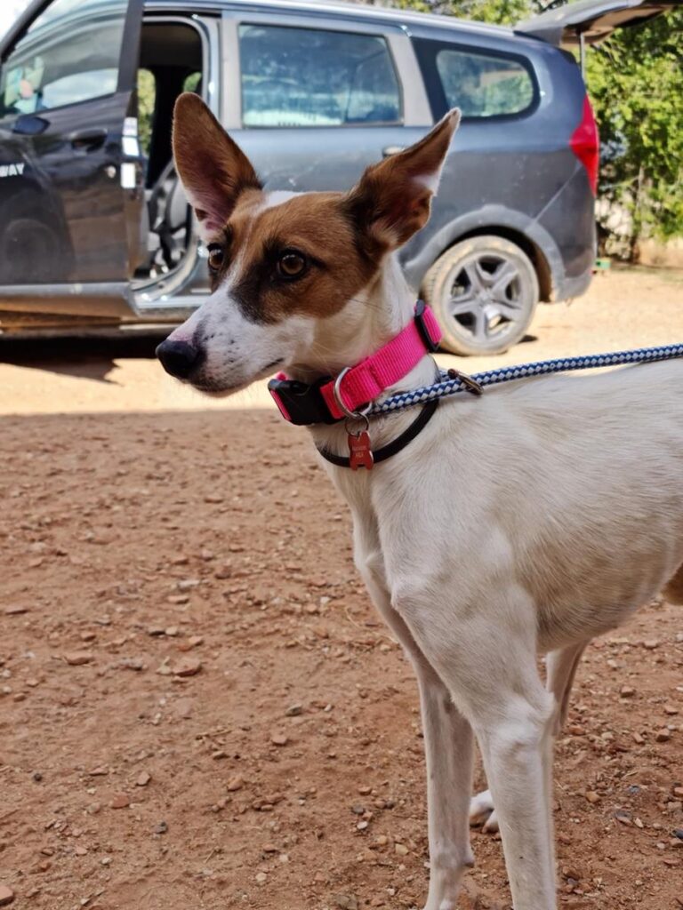 multimedia-foto67181-985-1