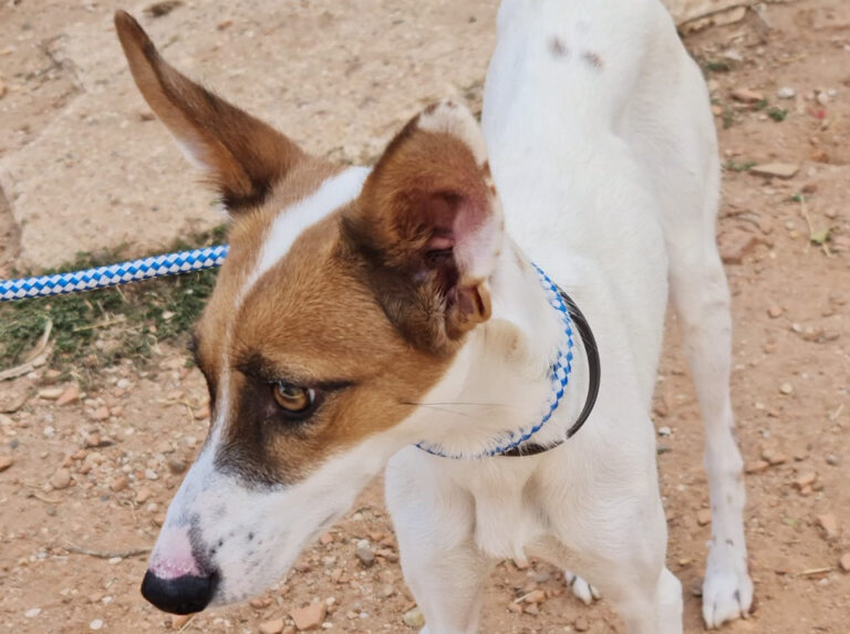 multimedia-foto67182-986-1