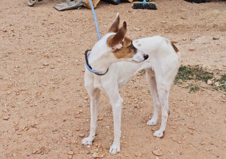 multimedia-foto67183-986-1