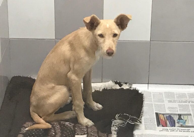 multimedia-foto67190-503-1