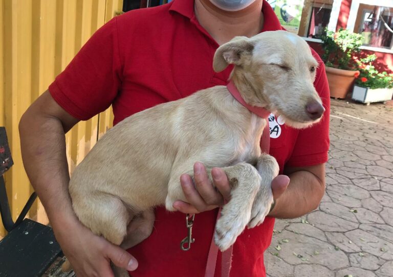 multimedia-foto67192-504-1