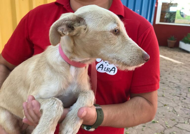 multimedia-foto67193-504-1