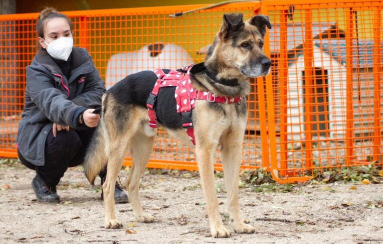 multimedia-foto67199-532-1