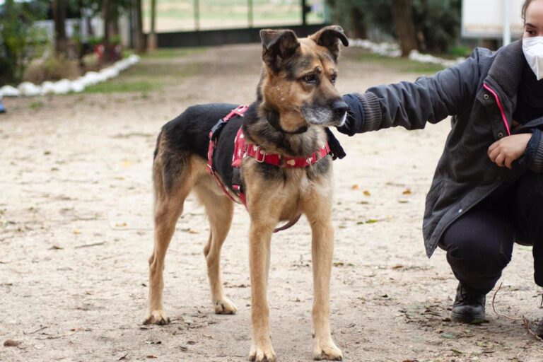 multimedia-foto67200-533-1