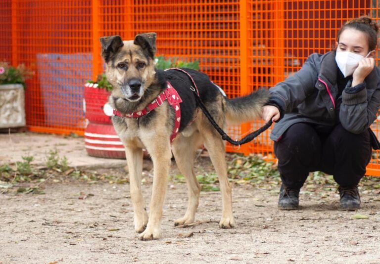 multimedia-foto67201-533-1