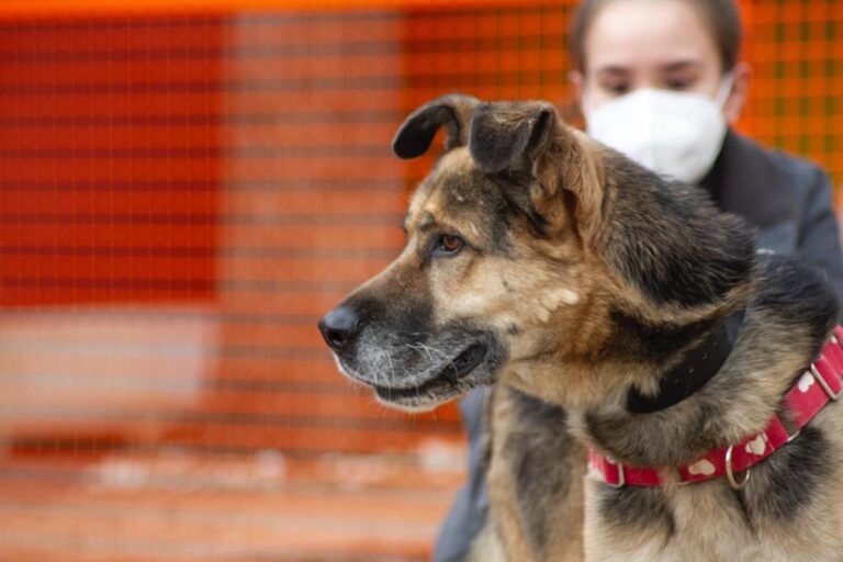 multimedia-foto67202-534-1