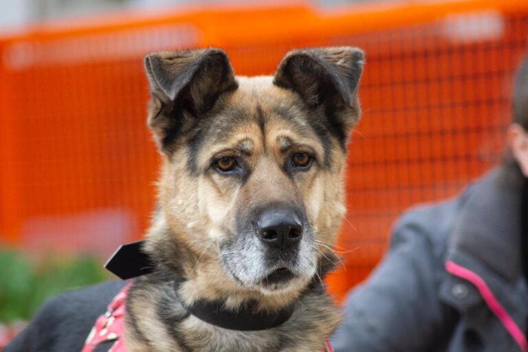 multimedia-foto67203-534-1