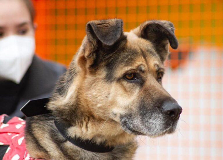 multimedia-foto67204-535-1