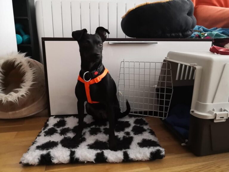 multimedia-foto67217-868-1