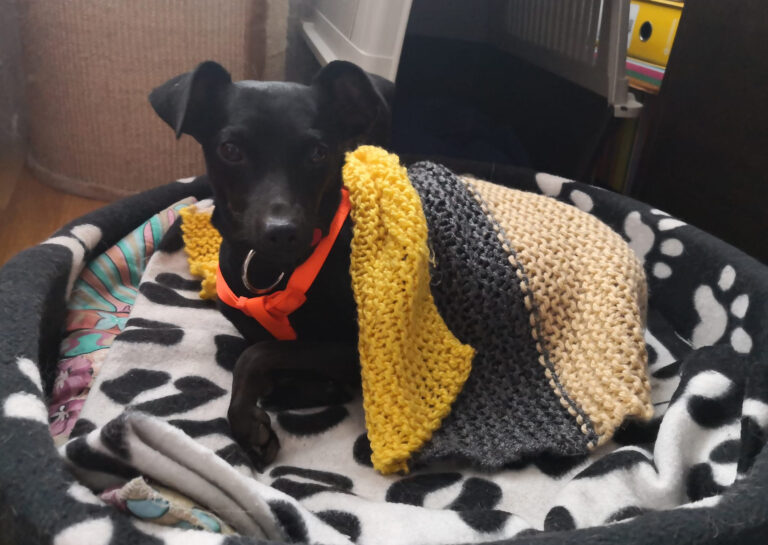 multimedia-foto67218-582-1