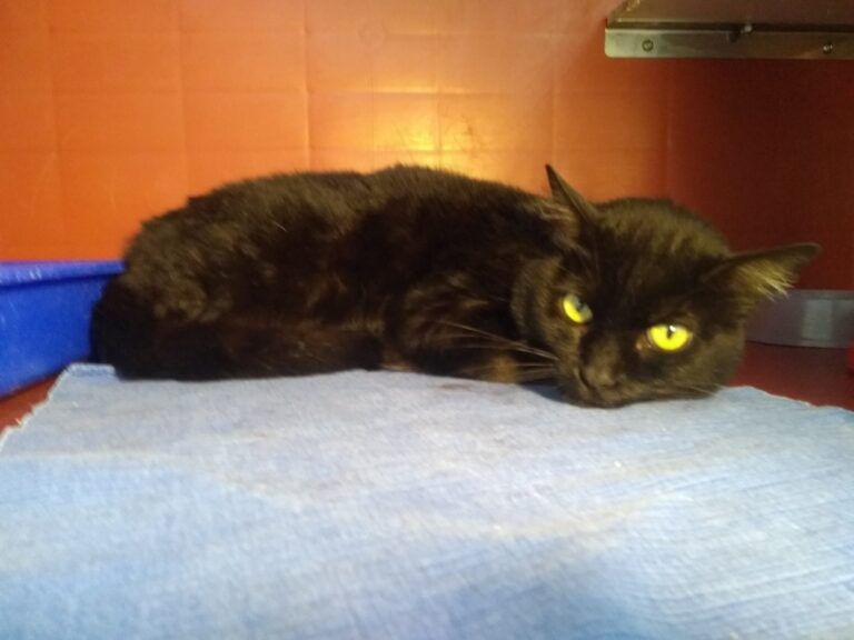 multimedia-foto67232-418-1