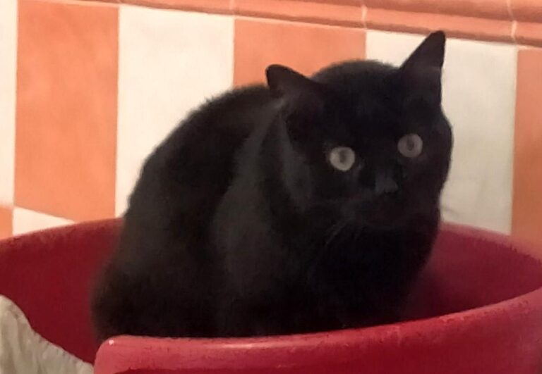 multimedia-foto67233-419-1